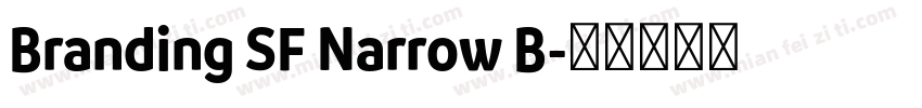 Branding SF Narrow B字体转换